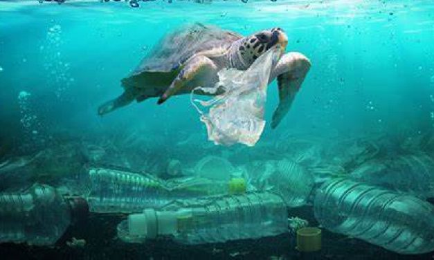 Dampak Sampah Plastik Terhadap Lingkungan Dan Kesehatan