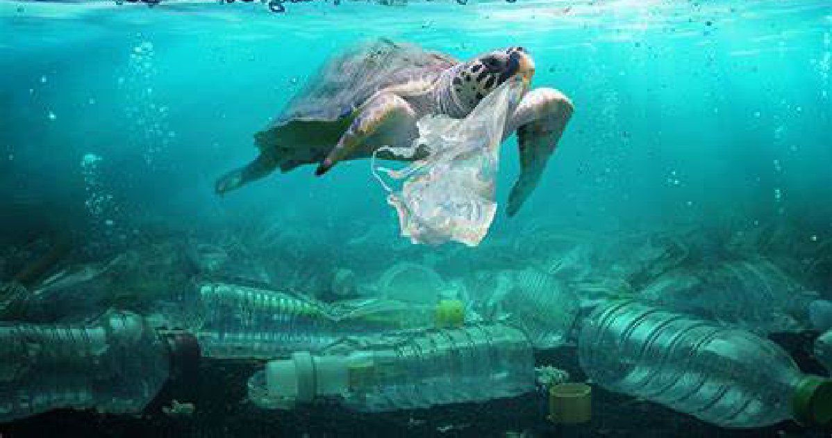 Dampak Sampah Plastik Terhadap Lingkungan Dan Kesehatan