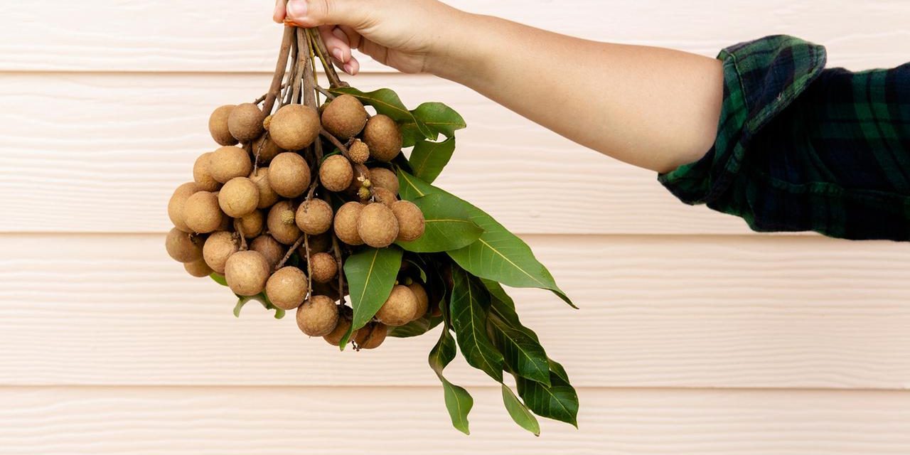 Manfaat Buah Kelengkeng Untuk Kesehatan Tubuh