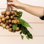 Manfaat Buah Kelengkeng Untuk Kesehatan Tubuh