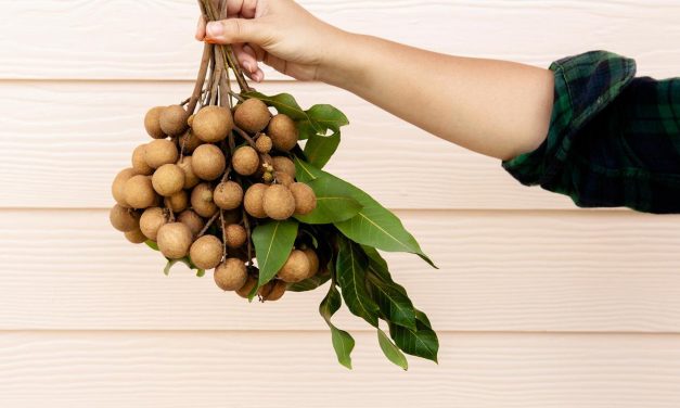 Manfaat Buah Kelengkeng Untuk Kesehatan Tubuh