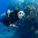 Panduan Pemula Menyelam Dan Menjelajahi Dunia Bawah Laut