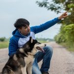 Hubungan Manusia Dan Anjing Dalam Kehidupan Modern