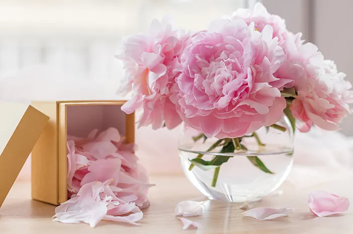 Musim Bunga Peony: Keindahan Mekarnya Bunga Memikat Hati