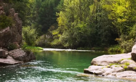 Sungai Dan Lautan: Perbedaan, Fungsi, Perannya Bagi Kehidupan