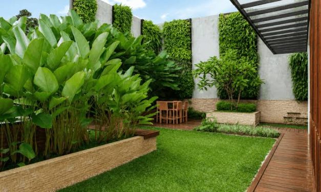 Tanaman Rumah: Pilihan Hijau Membuat Hunian Lebih Segar