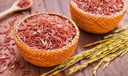 Beras Merah: Kandungan Gizi, Manfaat, Dan Cara Mengolahnya
