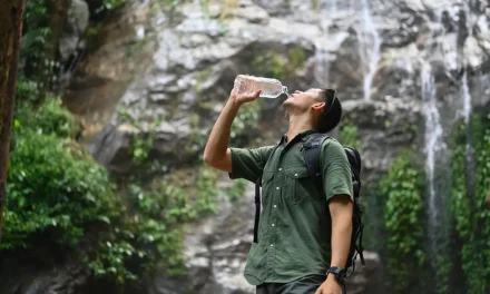 Mata Air Pegunungan: Air Alami Dari Kawasan Dataran Tinggi