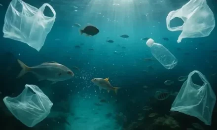 Satwa Laut: Upaya Mengatasi Ancaman Terhadap Ekosistem