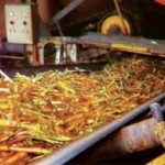 Tebu Dan Gula: Proses Dari Tanaman Hingga Menjadi Pemanis